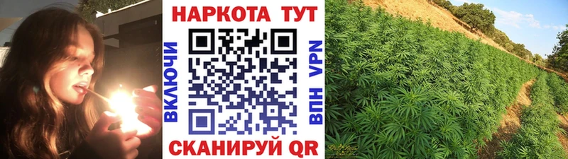 Где купить наркотики Няндома Канабис  Cocaine  Гашиш  Alpha PVP  Меф 