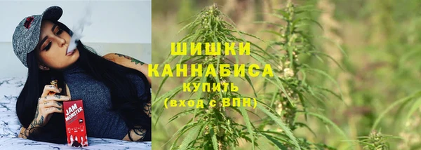 дживик Богородицк