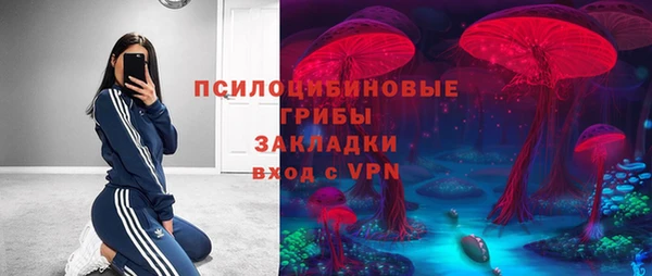 винт Богданович