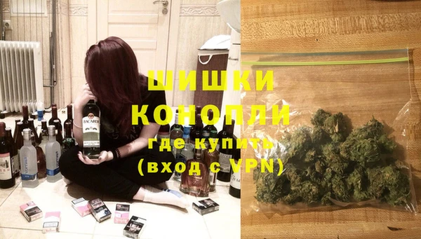 индика Инсар