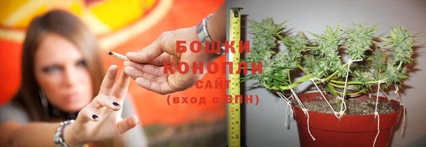 винт Богданович
