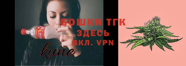 дживик Богородицк