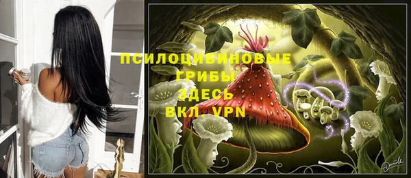 винт Богданович