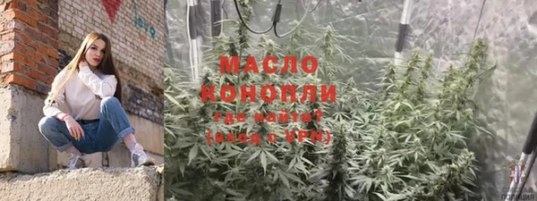 дживик Богородицк