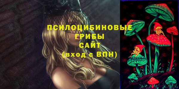 дживик Богородицк