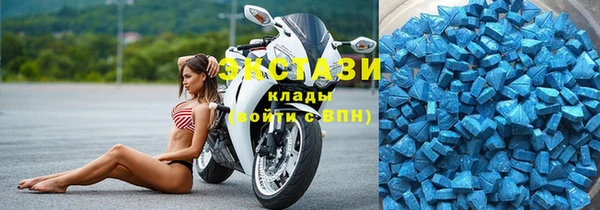 гашик Богородск