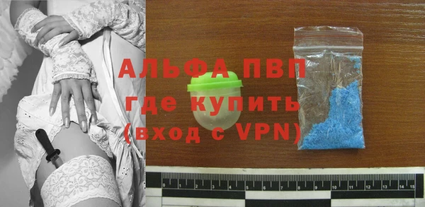 дживик Богородицк