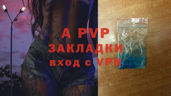 винт Богданович