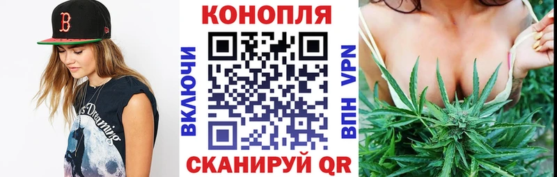 Бошки Шишки White Widow  Няндома 